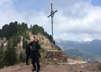 phoca thumb l hd dolo 2016