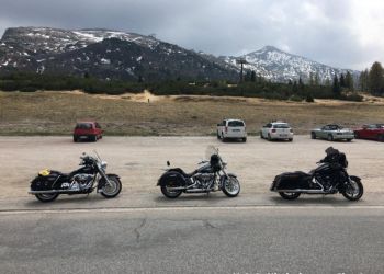 phoca thumb l hd dolo 2016