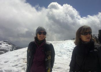 phoca thumb l sass pordoi 2950m