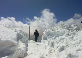 phoca thumb l sass pordoi 2950m