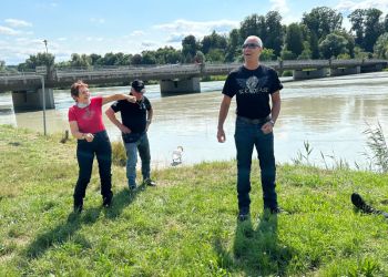 phoca thumb l image03