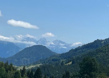 phoca thumb l image08