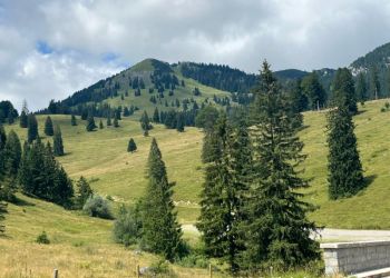 phoca thumb l image11