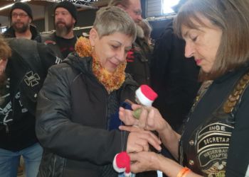 phoca thumb l 20231209