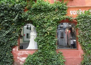 phoca thumb l dsc00280 mittel