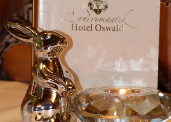 phoca thumb l p1090797