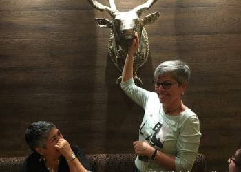 phoca thumb l p1090840