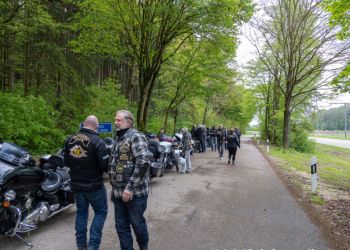 phoca thumb l hog niederbayernchapter